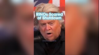 Steve Bannon & Chip Roy: RINOs Are Scared of Losing Their Next Election If They Shut Down The Government - 3/21/24