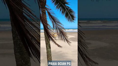 PRAIA OCIAN PRAIA GRANDE SP #SHORTS