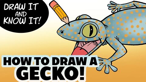Draw It & Know It | How to Draw a Gecko | Reasons for Hope