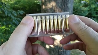 Sportmans warehouse ammo haul