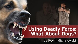 Deadly Force Using Dogs: Into the Fray Episode 19