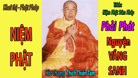 NIỆM PHẬT Phải Phát Nguyện VÃNG SANH | Hoà Thượng Thích Thiền Tâm