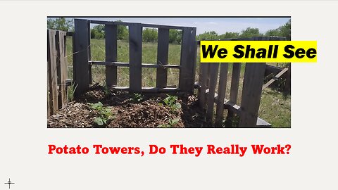 Potato Towers, Do They Really Work?