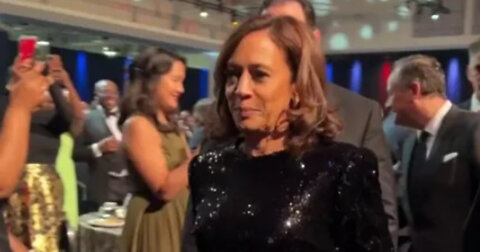 Kamala Harris Confronted About Dispersing Hurricane Ian Relief Based on 'Equity'