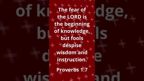 SMARTEN UP! | MEMORIZE HIS VERSES TODAY | Proverbs 1:7
