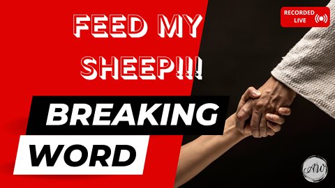 Feed My Sheep