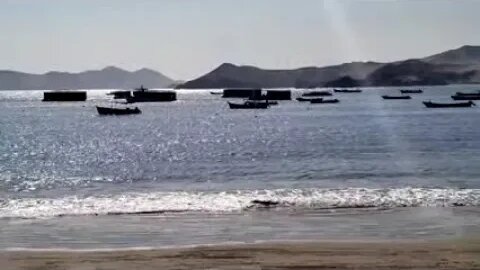 Playa de Tortugas: Lugar de Extracción de Conchas de Mar - Full HD 1080 60 FPS