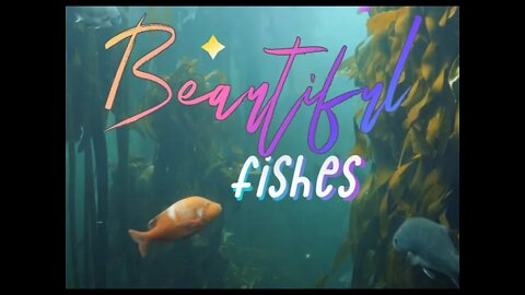 Amazing Marine World - Beautiful Fishes