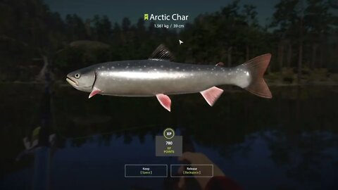 Russian Fishing 4 Kuori lake Arctic Char 1.561 Kg