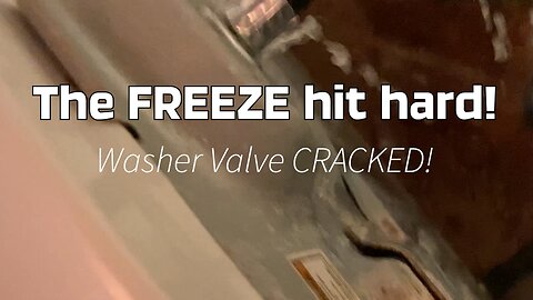 The Freeze Hit Hard!