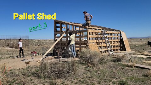 Pallet Shed Construction part 3