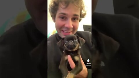 David Dobrik’s cute new puppy! 😍