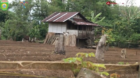 ANSORI - '' KENANGAN LAME '' - GITAR TUNGGAL BATANGHARI SEMBILAN MUSI RAWAS SUMATERA SELATAN 1978