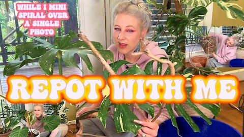 REPOT With Me ✨- Houseplant Repot and Spiraling over dumb s@#t