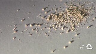Public health alert: 9 suspected fatal overdoses in Cuyahoga Co. in 24 hours