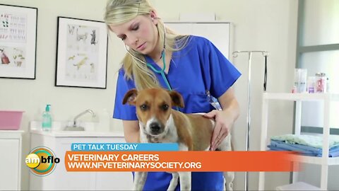 Pet Talk Tuesday – Veterinary careers