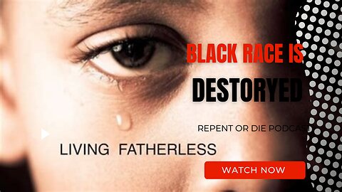 the FatherLess World Is Destroying The Black Race