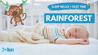 2+ House Sleep, Relax and Rest Bedtime Rainforest Music
