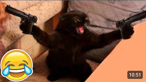 NEW FUNNY ANIMALS 😂 FUNNIEST CATS AND DOGS VIDEO 🐱🐶