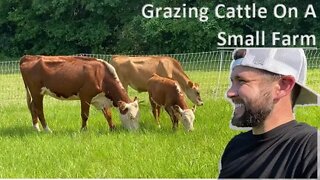 Building A Rotational Grazing Paddock | Raising Cattle 101 | Small Farm