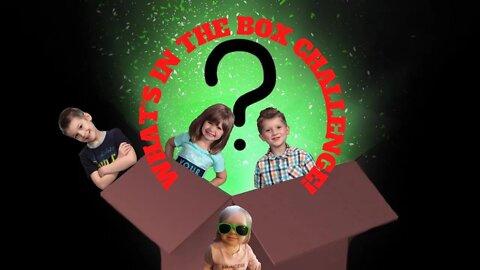 What's in The Box Challenge | Krazy Kidz Creations