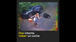 Mujer sorprende a un oso tratando de ‘robar’ su auto