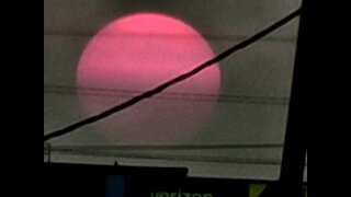 Pink sun sunset reel purdy like