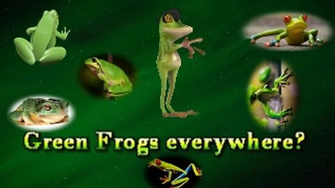 Green Frogs everywhere - A reading on the Rainforest Alliance - Tarot Cards