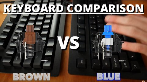 Cherry MX Blue vs Brown - What are The Best Keyboard Switches?