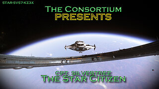 Cpt. Silvertree in The Star Citizen! - Star Citizen 3.17.4