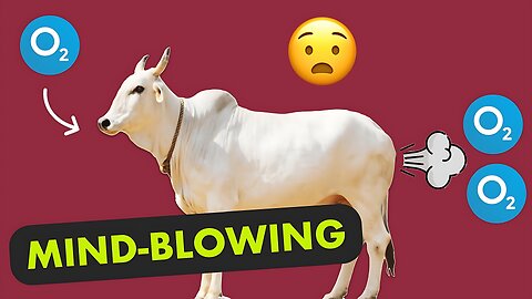 Cow is World's Best Animal | Ep 1 Pee News by Dhruv Rathee [Faking News]