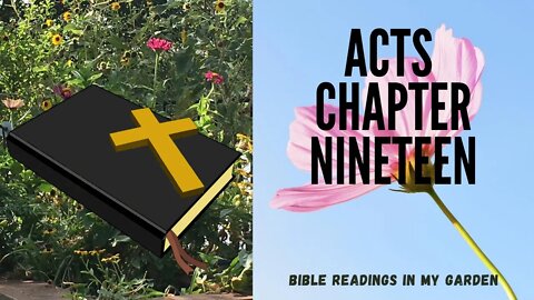 ACTS Chapter 19 | NRSV Bible