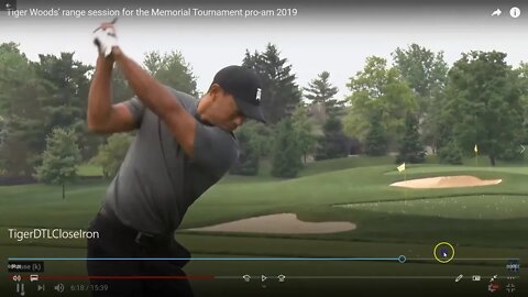 Tiger Woods Watch Inside Up And Under - Left Arm To Left Pec