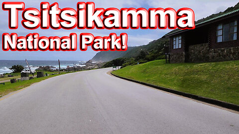 Tsitsikamma National Park – A Beautiful Protected Area on the Garden Route! S1 – Ep 198