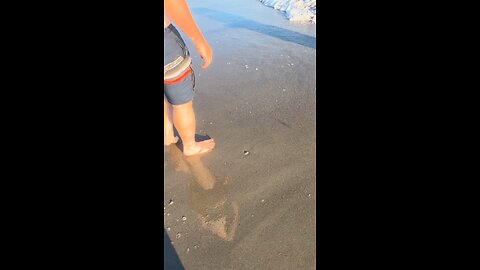 FREE The Crabs!!! 😂 #NorthCarolina #beach #crabs #ocean