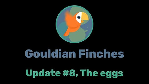 Gouldian Finches Update #8, The Eggs
