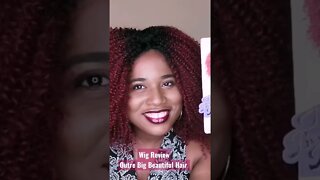 Curly, Synthetic Wig Review: Outre Big Beautiful Hair 4C-Coily, (Color DR425)