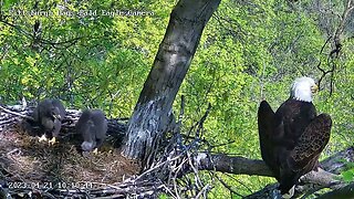 Hays Eagles H19 H20 Double PS 4.21.23 10:10am