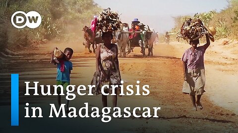 Climate change or politics? - Why Madagascar is going hungry | DW Documentary