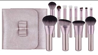 Professional Makeup Brush Kit with Case Review