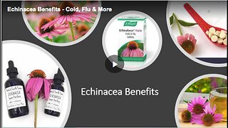 How to use echinacea to treat colds and the flu