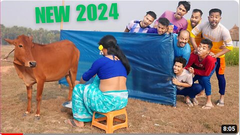 Must Watch New Special Comedy Video 2024 😎Totally Amazing Comedy Episode