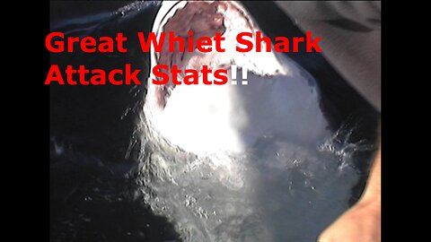 Great White Shark Attack Stats thru 206 Covered to Date