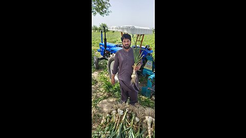 G1 Garlic Pakistan