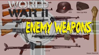 Enemy Weapons Small Arms