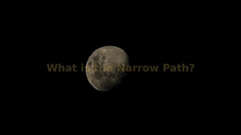 Morning Musings #25 - What is the Narrow Path or The Way?