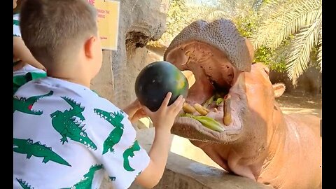 Diana and Roma feed the animals at the Emirates Park Zoo