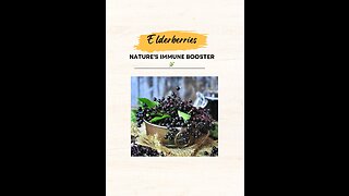 "Elderberries: Nature's Immune Booster 🌿"