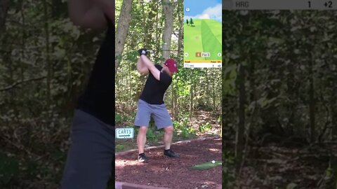 Hole 8 - Mount Massive #Shorts #Golf #GarminR10 #SimGolf #YoutubeShorts