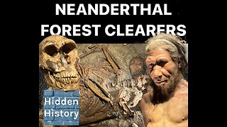 Neanderthals ‘artificially transformed their environment and cleared forests 125,000 years ago’
